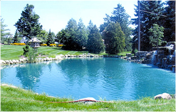 Pool Pond